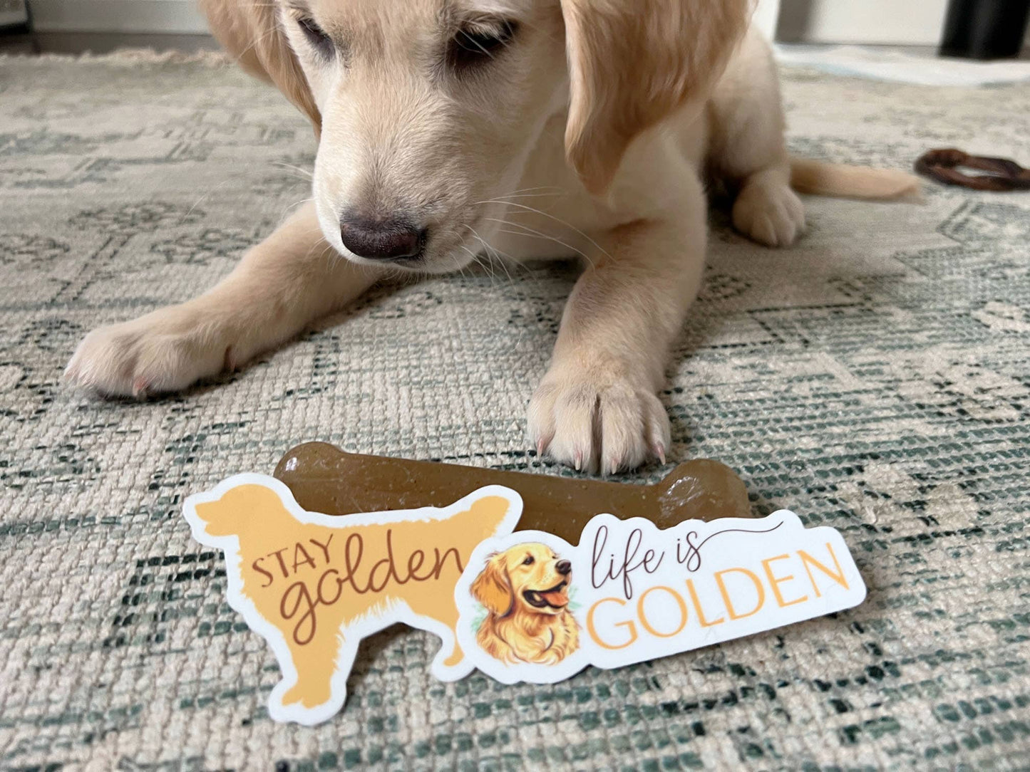 Stay Golden - Cute Golden Retriever Dog Sticker