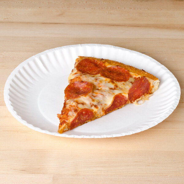 9in Uncoated Paper Plates 100ct