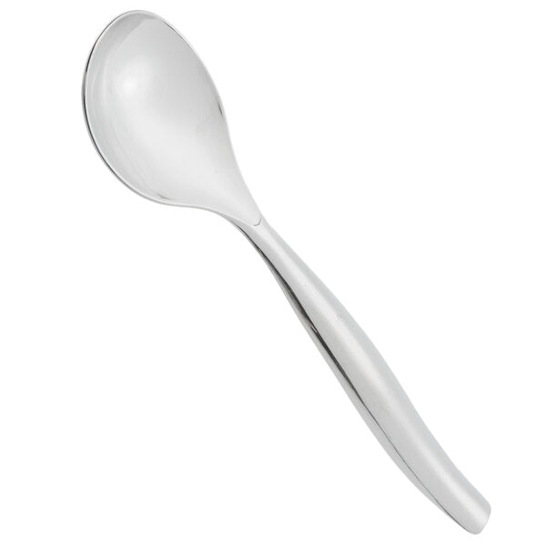 10in Silver Plastic Serving Spoon 2ct