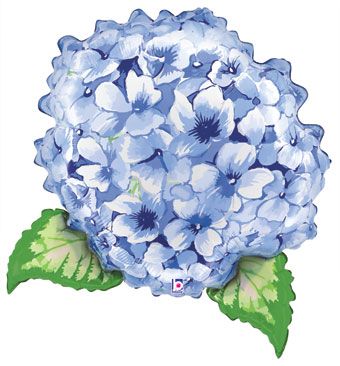#625 Hydrangea 32n Balloon