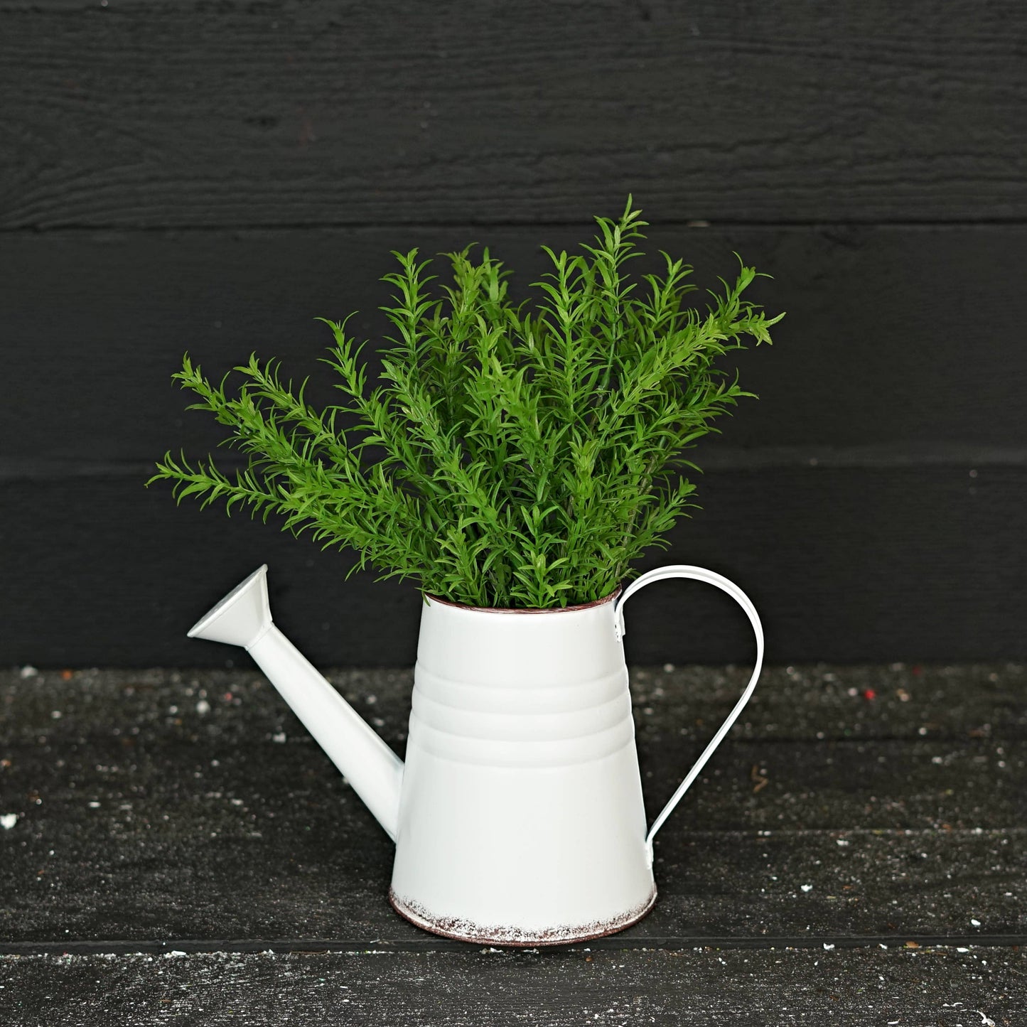 Antique White Metal Water Can-11W x 6.5H