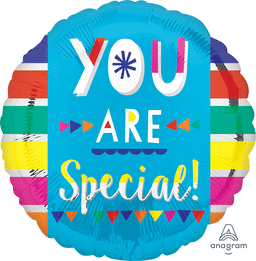 #429 4You are Special Fun Type 17in Balloon