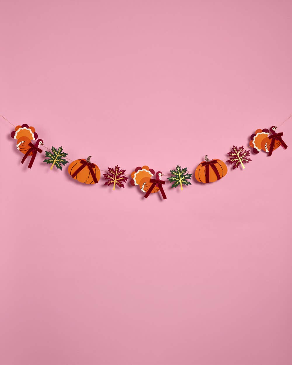 Thanksgiving Icon Banner | fall, pumpkin, harvest
