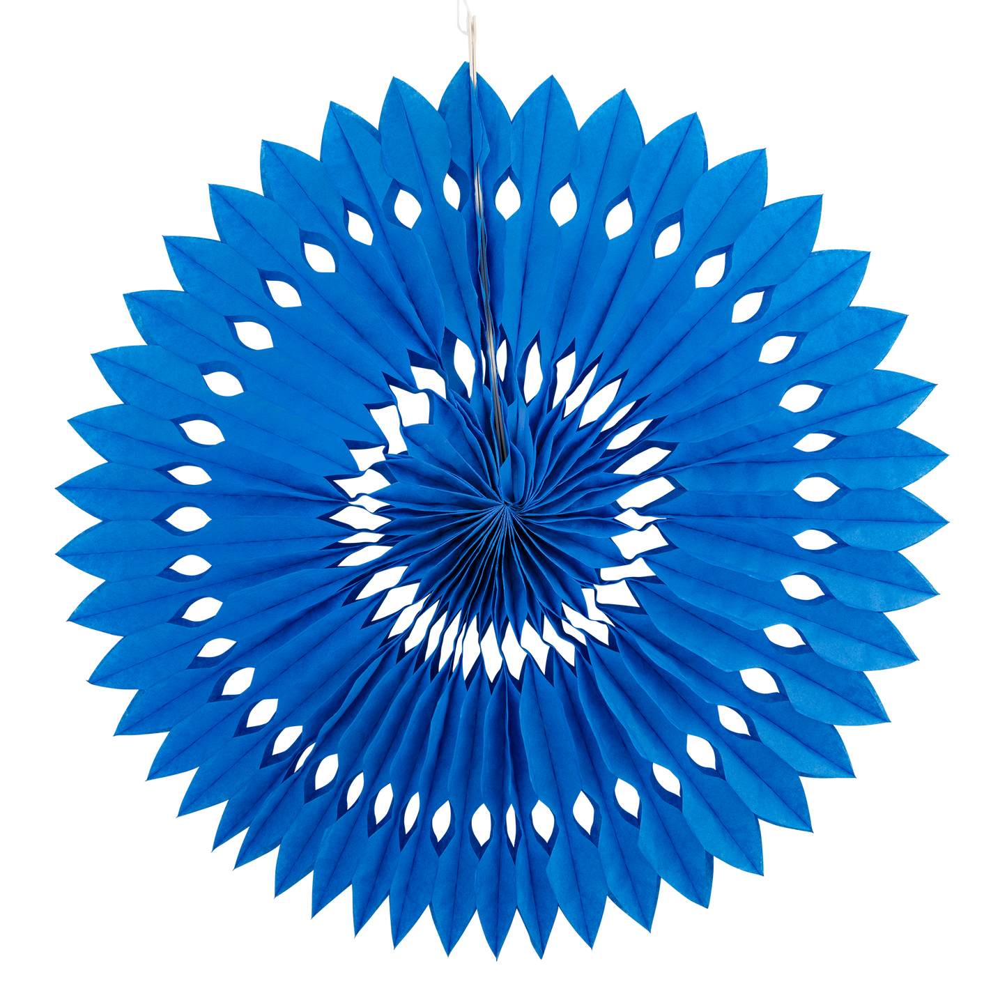 Blue and White Party Fan Set