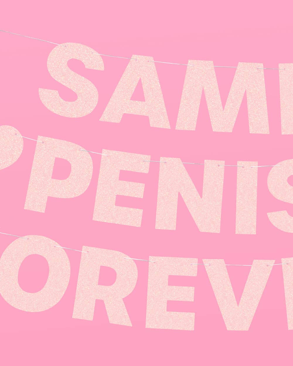 Bachelorette Party Same Penis Forever Banner