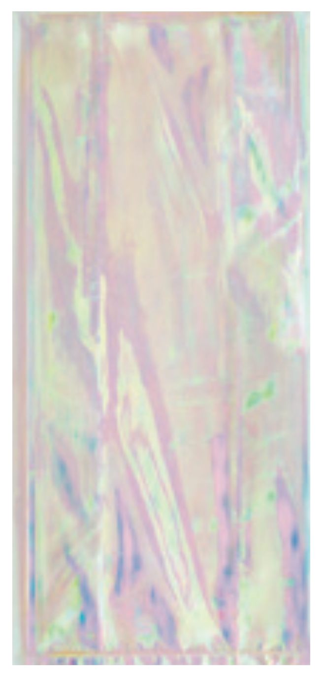 Iridescent Cellophane Bags 10ct