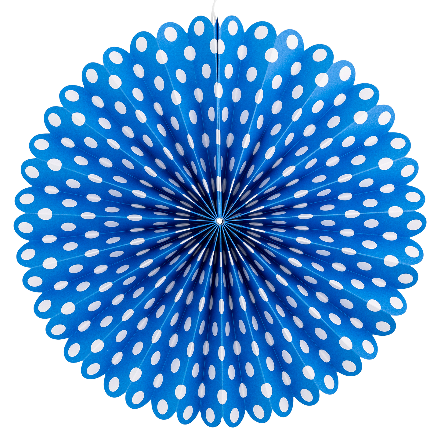 Blue and White Party Fan Set