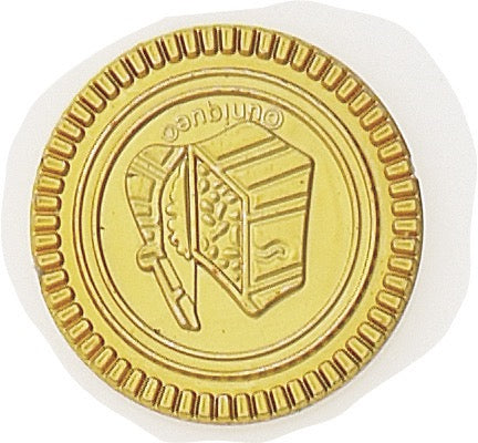 Treasure Coins - Net Bag 30ct