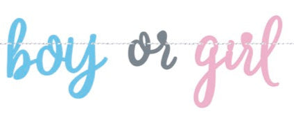 Blue or Pink Gender Reveal Banner 7ft