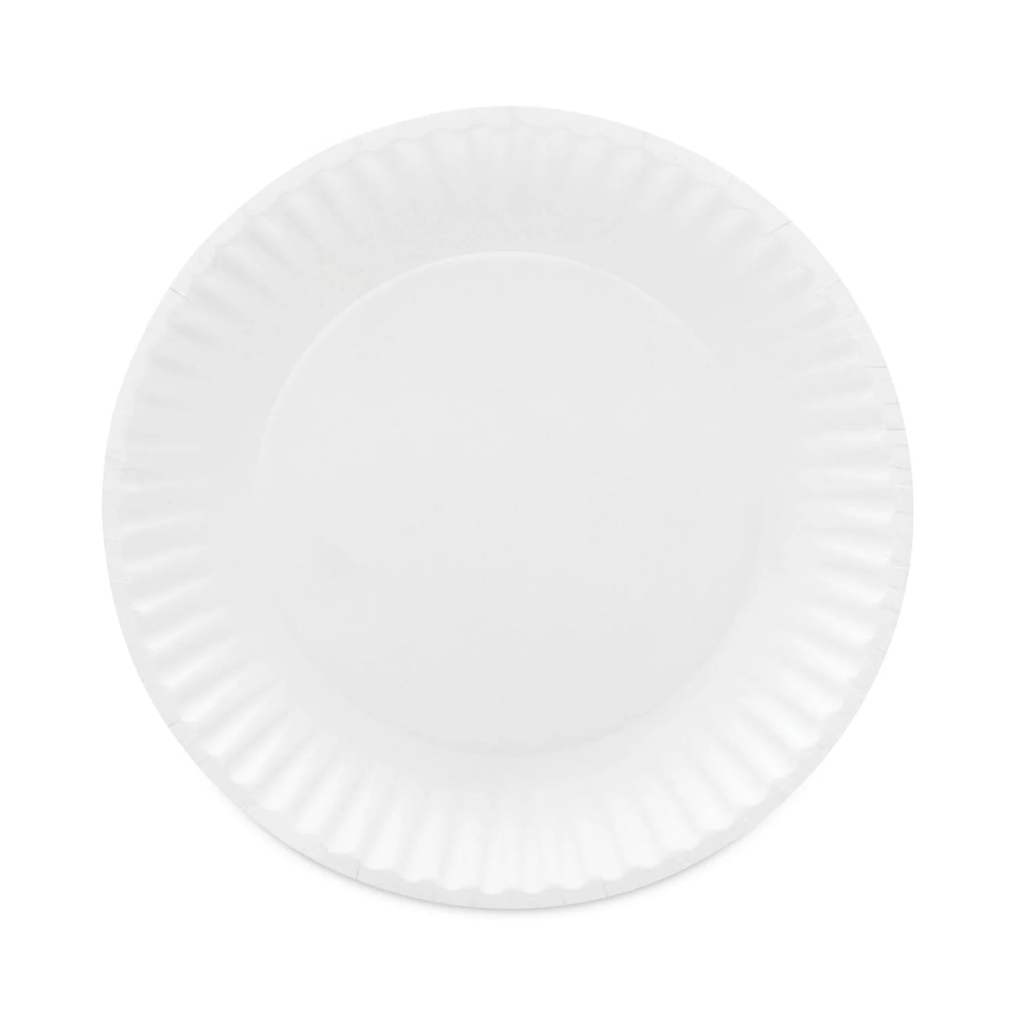 6in Uncoated Paper Plates 100ct