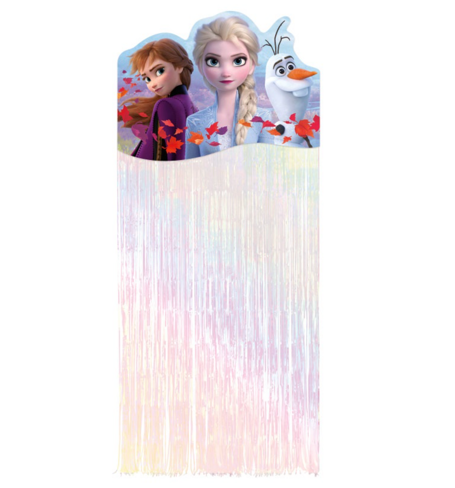 Disney Frozen 2 Door Fringe Kit