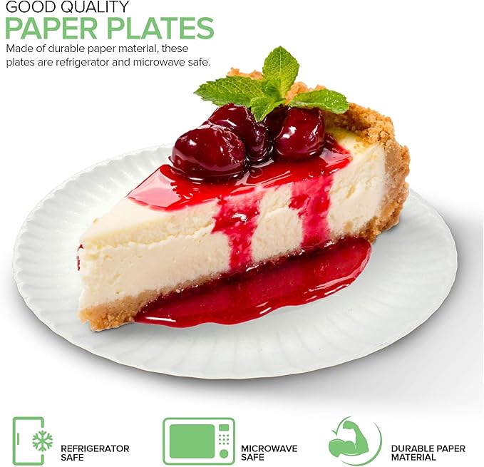 6in Uncoated Paper Plates 100ct