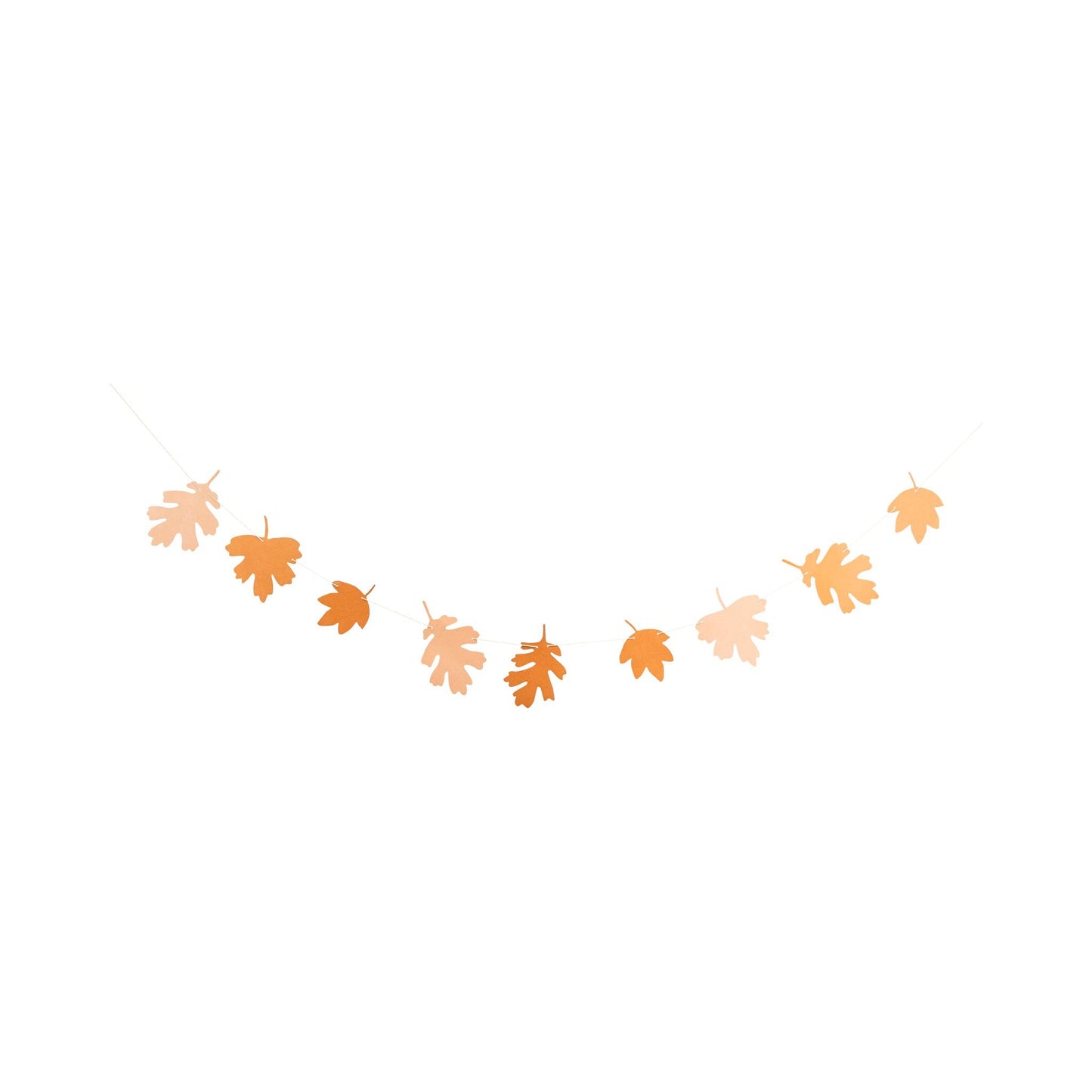 Paper Banner Set