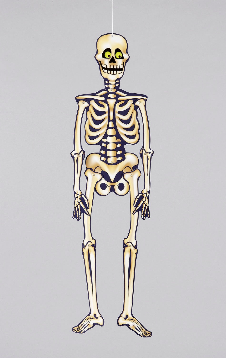 Halloween Jointed Skeleton