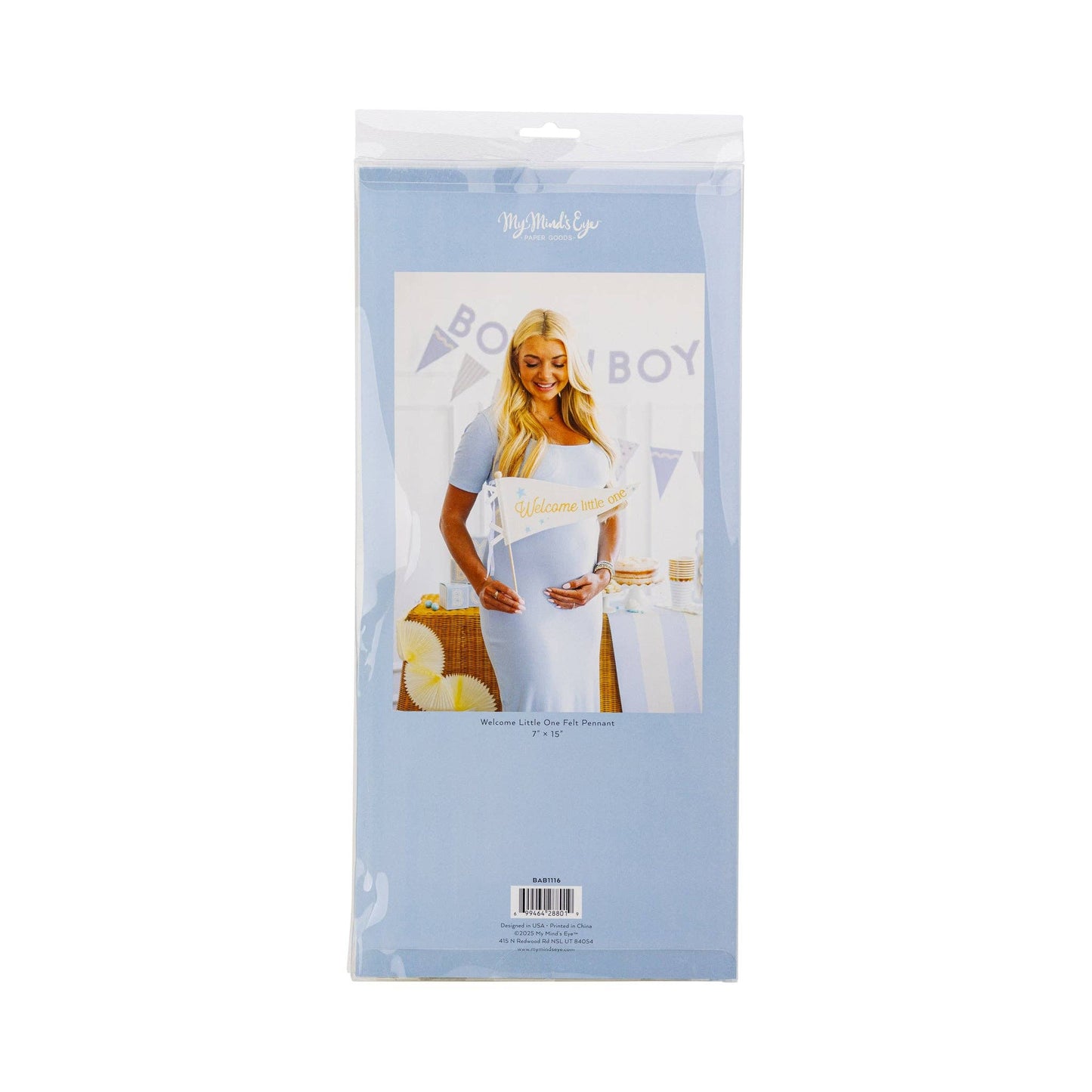 Welcome Little One Blue Pennant
