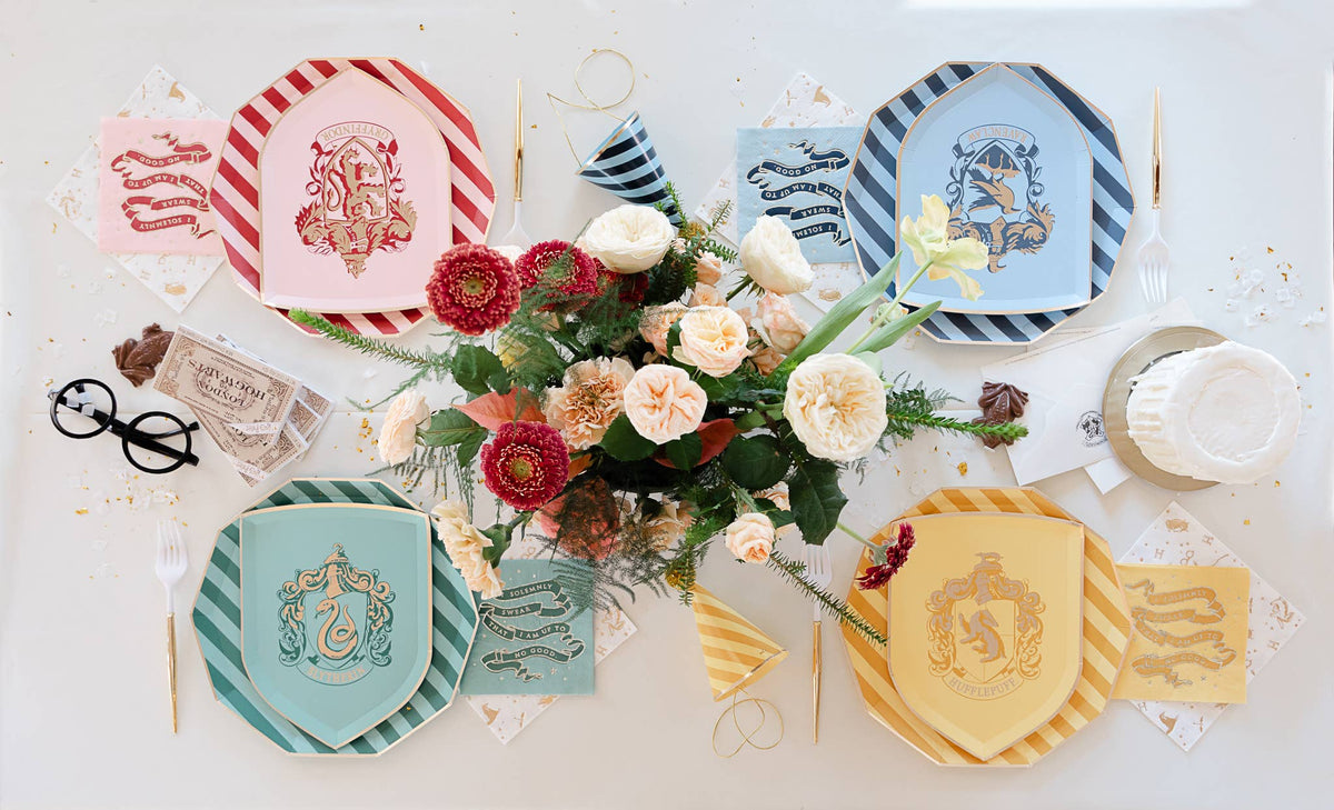 HARRY POTTER X BONJOUR FÊTE HOUSE PRIDE MULTICOLOR HOGWARTS