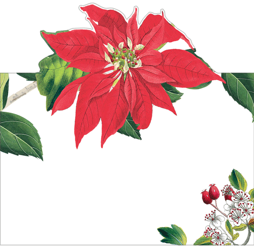 Christmas Chinoiserie White Place Cards 8ct