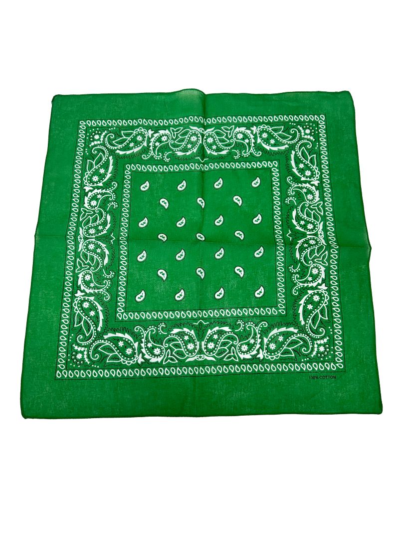 Green Paisley Bandana 20x20 in