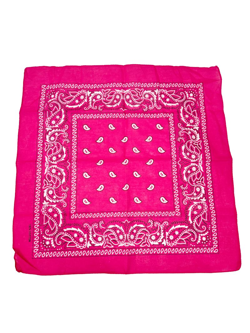 Pink Paisley Bandana 20x20 in