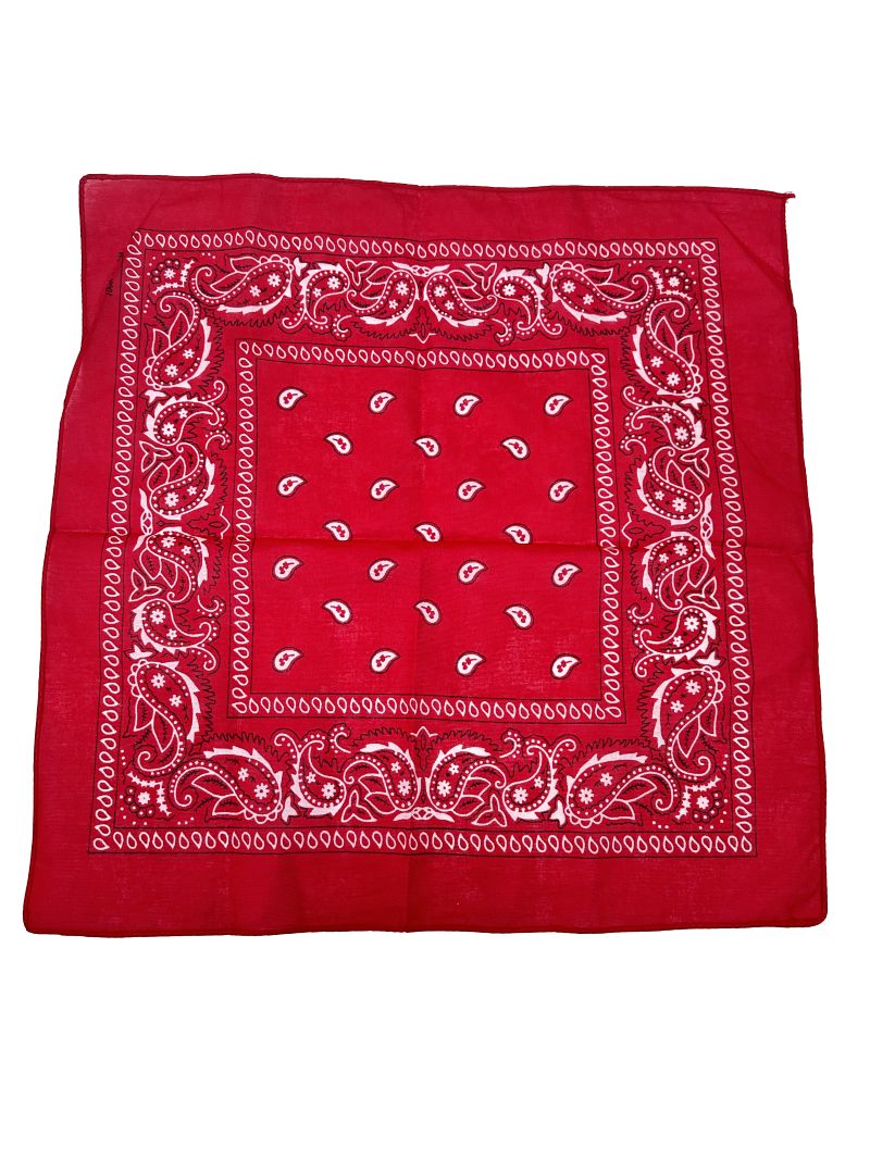 Red Paisley Bandana 20x20 in