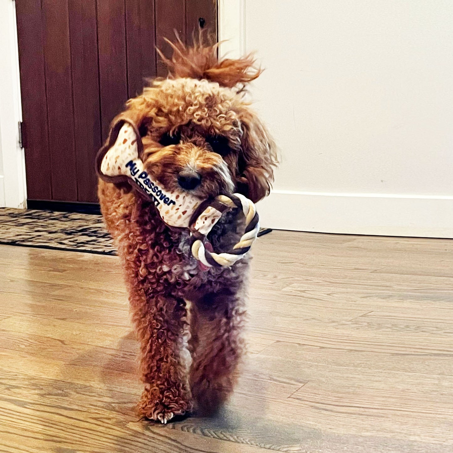 Passover Bone Squeaky Dog Toy