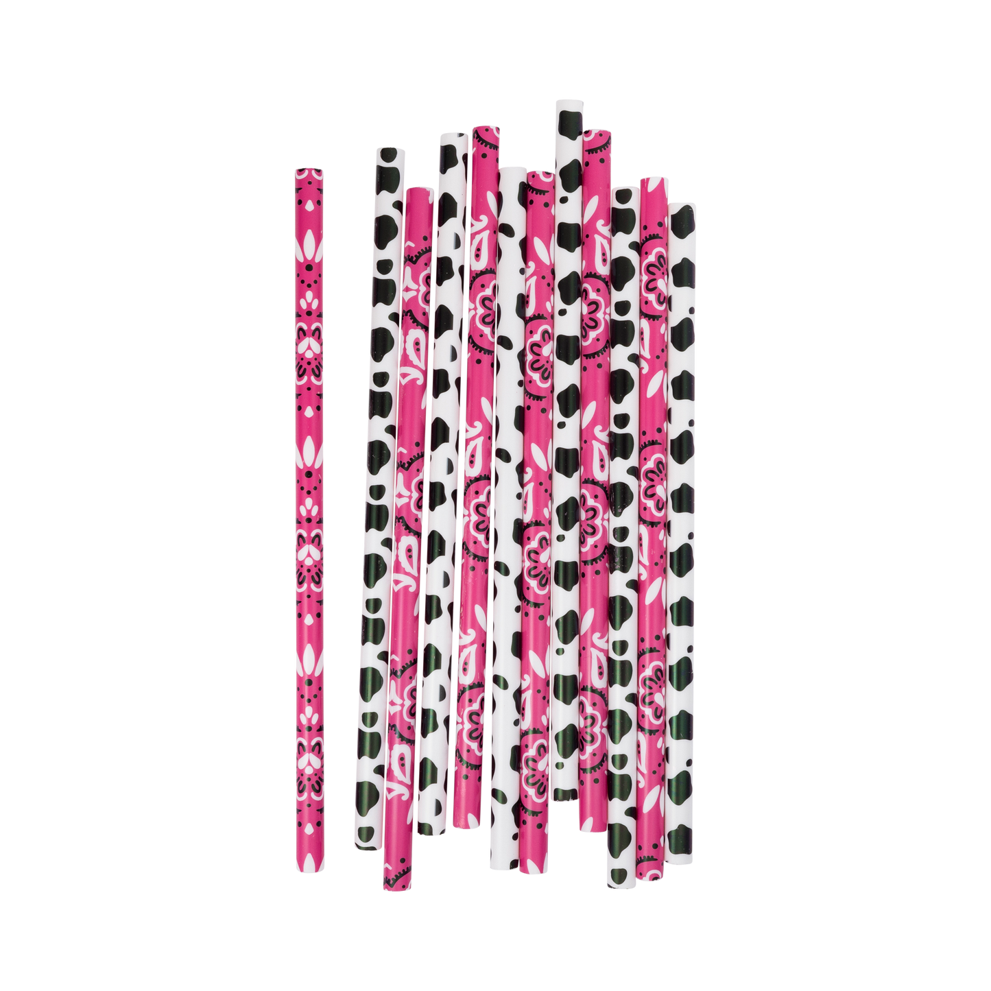 Cowgirl Reusable Straws 12ct