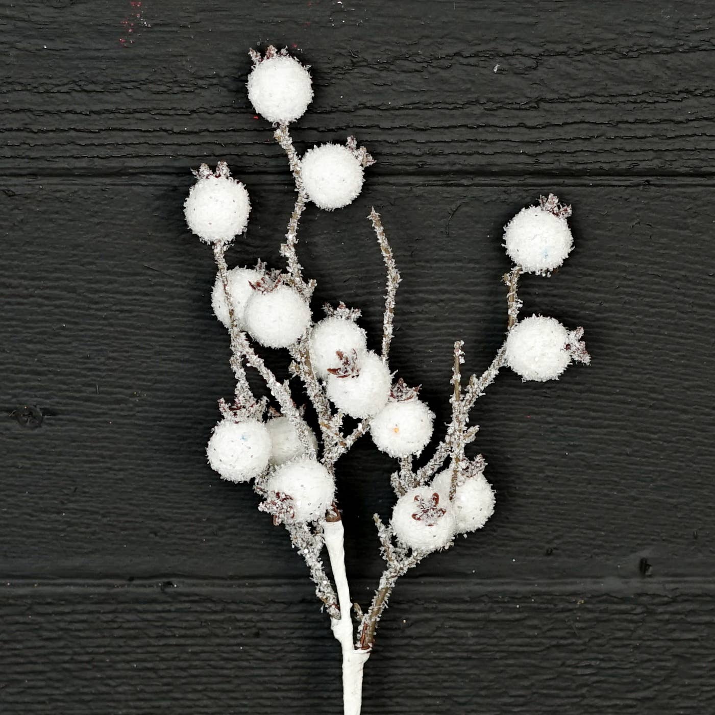 12in Pick-Fluffy Snowy White Crabapple Berry
