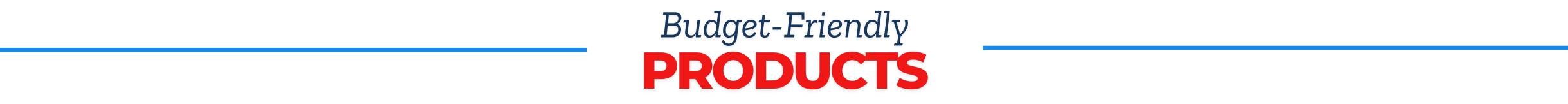 budget friendly banner