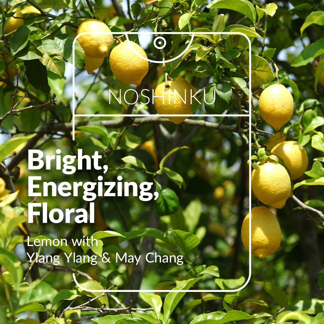 Hand Sanitizer - Lemon Ylang-Ylang Moisturizing Pocket