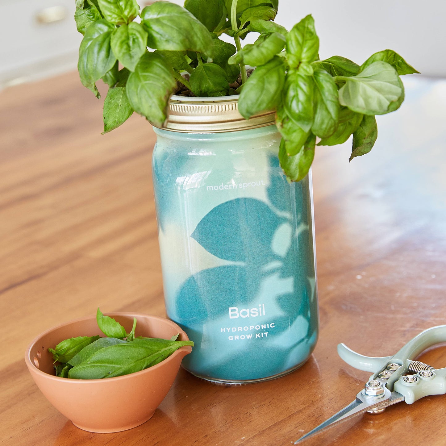 Herb Garden Jar