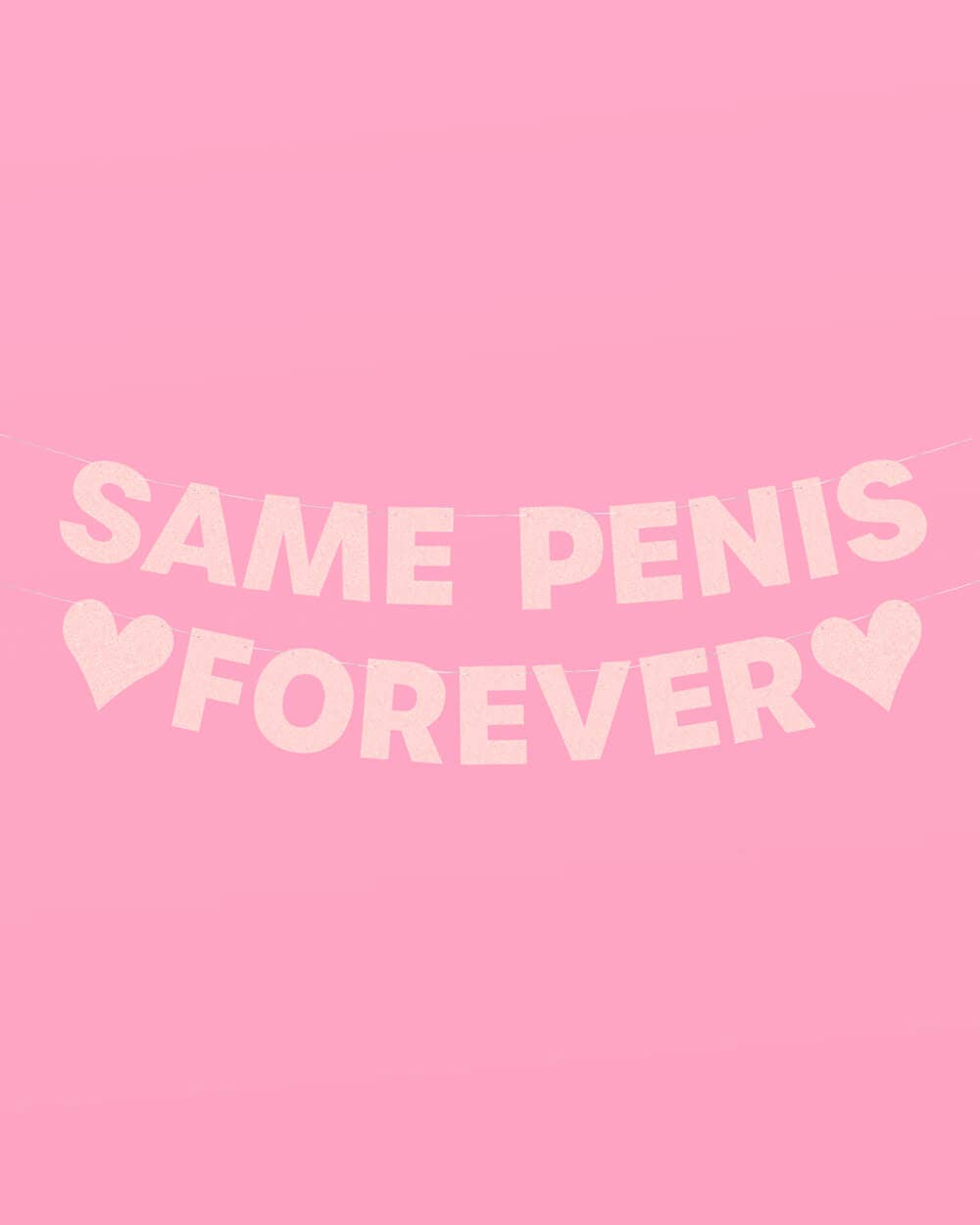 Bachelorette Party Same Penis Forever Banner