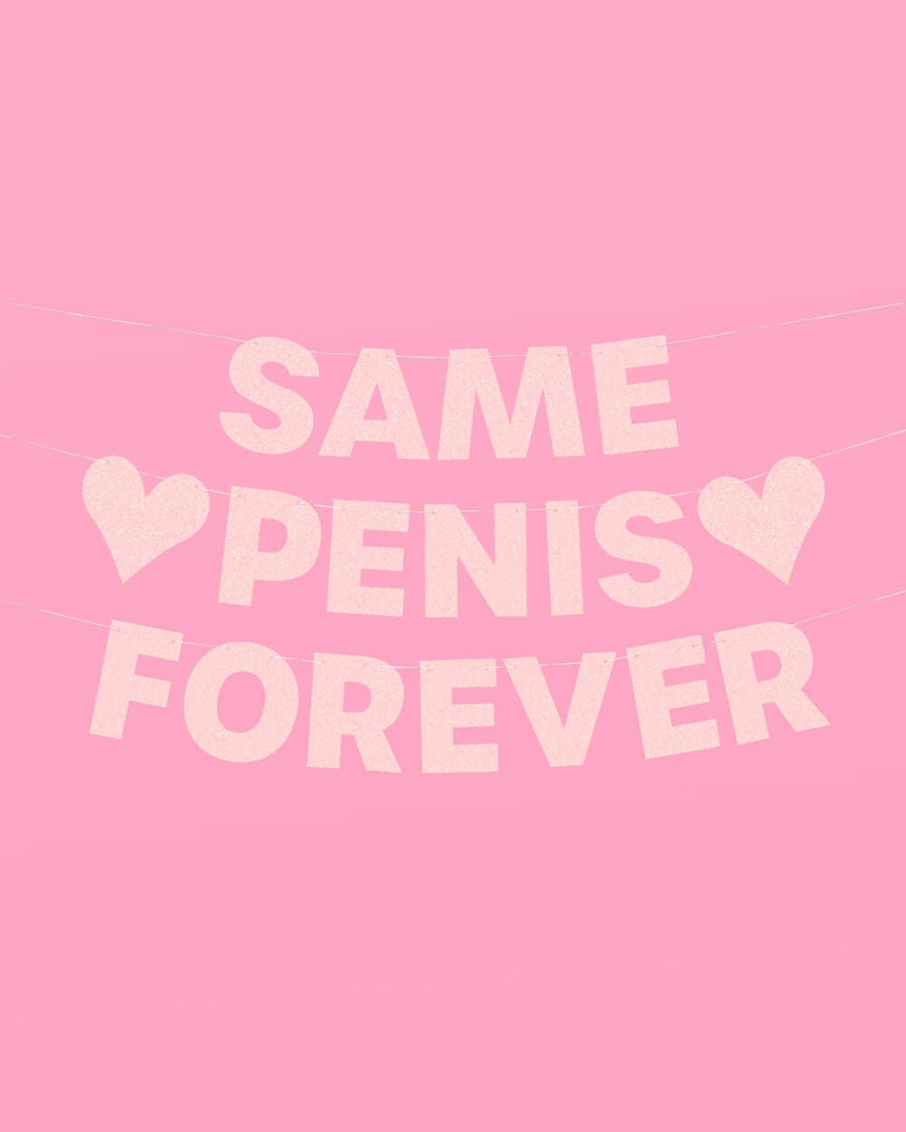 Bachelorette Party Same Penis Forever Banner