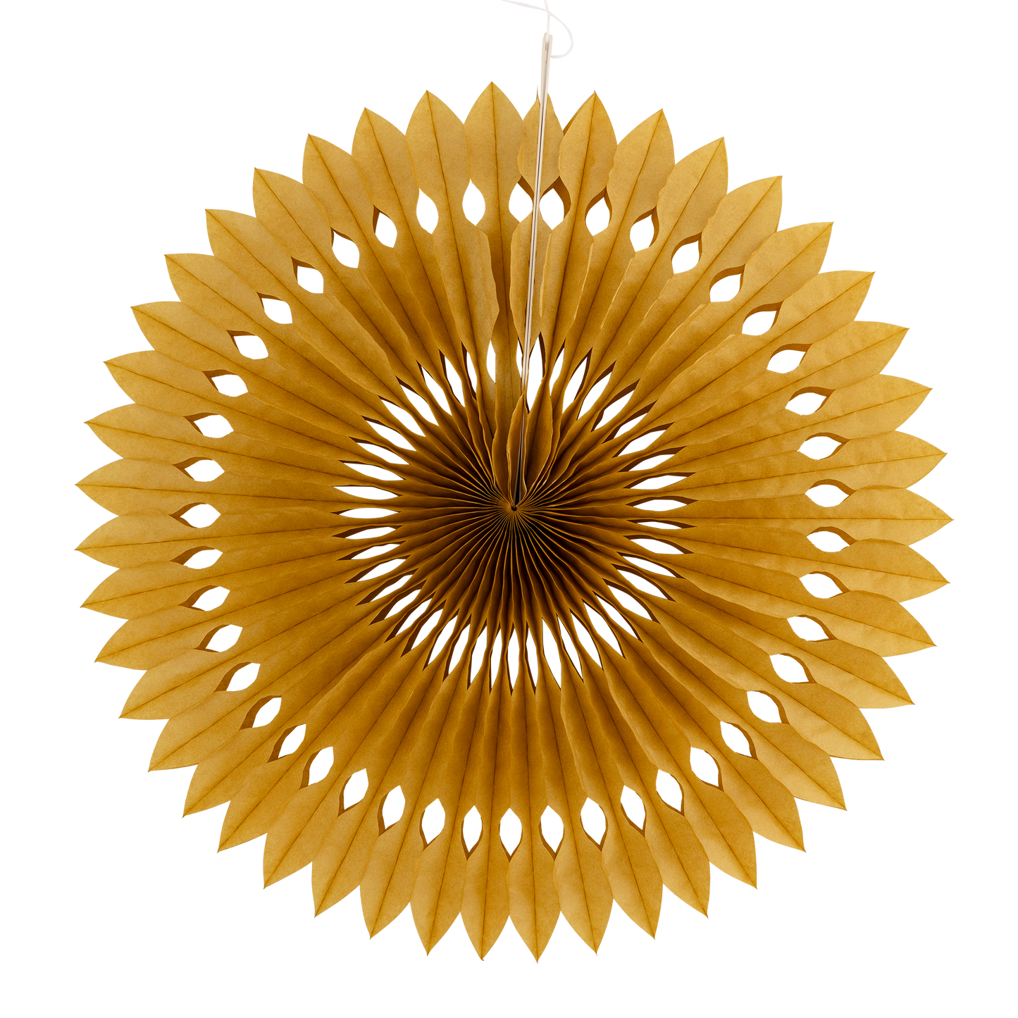 Gold and White Party Fan Set
