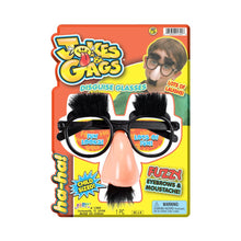 Jokes & Gags Disguise Glasses