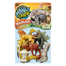 Explore Planet Earth Zoo Animals