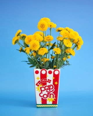 Ceramic Vase, Popcorn Bag