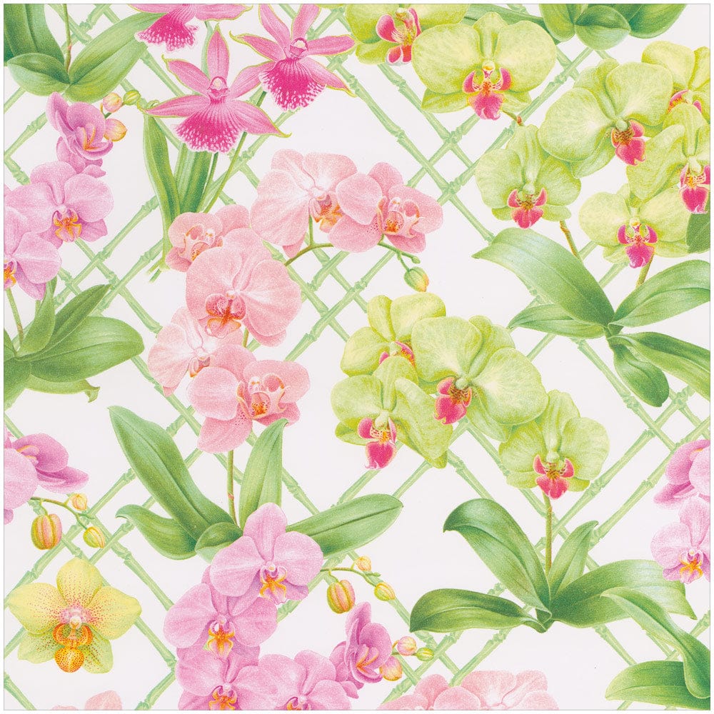 Roll Wrap - Orchid Conservatory 30”x8’