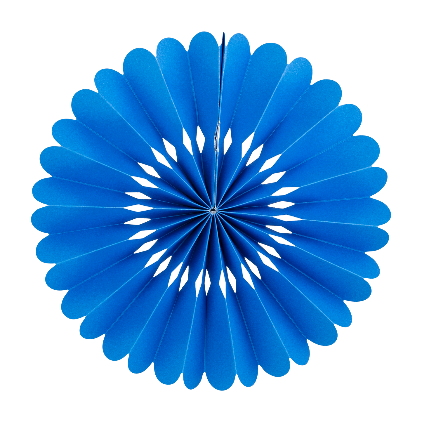 Blue and White Party Fan Set