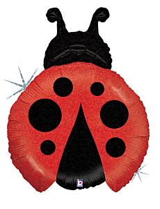 Little Ladybug 23in SuperShape Balloon