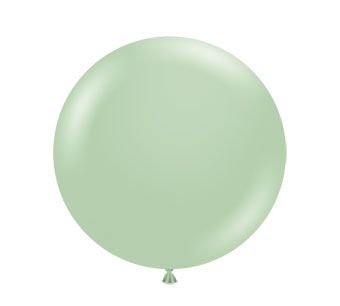 17in Helium Inflated Latex Balloon - Meadow