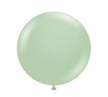 17in Helium Inflated Latex Balloon - Meadow