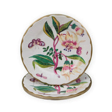 Porcelain Blooms Ivory 10.5in Dinner Plates 8ct