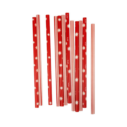 Believe Reusable Straws 12ct
