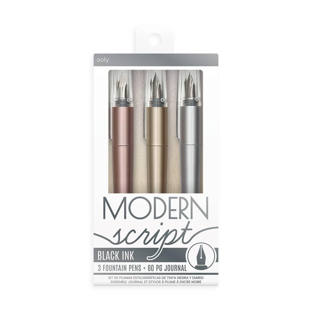 Modern Script Black Ink Fountain Pens and Journal Set