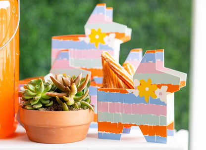 Fiesta Treat Boxes 6ct