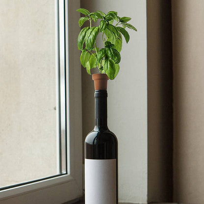 Bottle Top Herb Planters