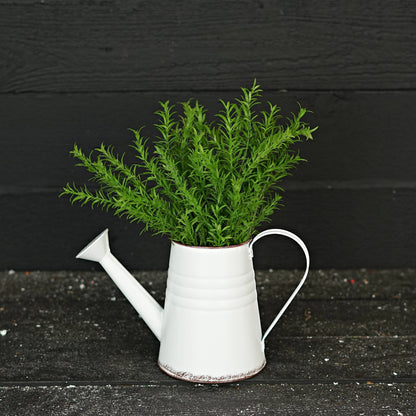 Antique White Metal Water Can-11W x 6.5H