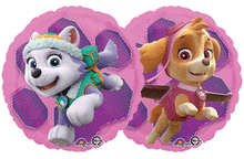 Paw Patrol Skye/Everest 17in Balloon