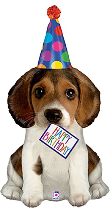 #006-B Birthday Puppy 41in Balloon