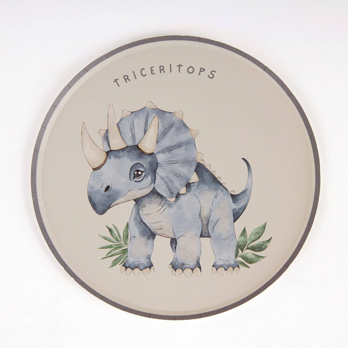 Dinosaur Paper Plates – 8 in Partyware